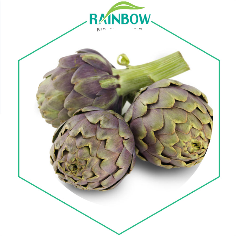 Artichoke Powder01