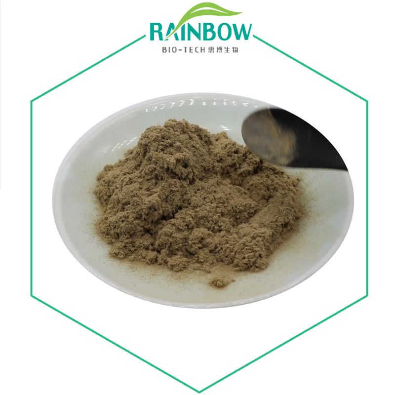 Artichoke Powder02