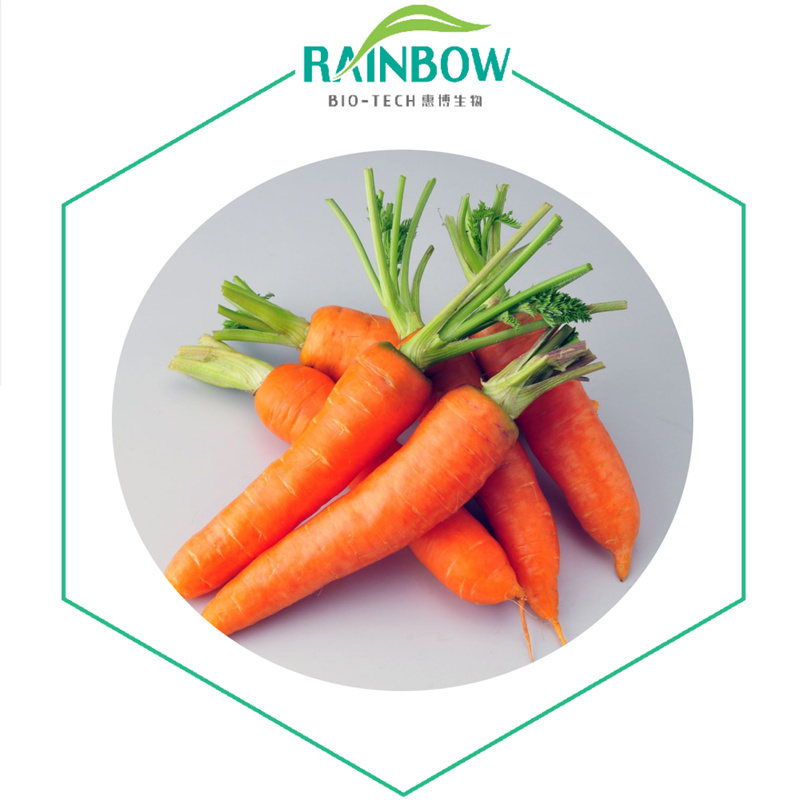 Carrot Powder02