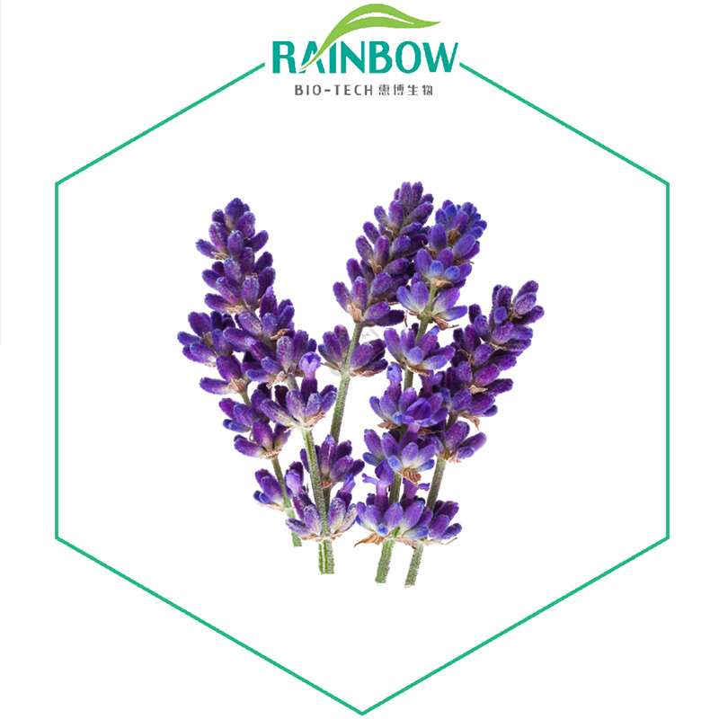 Dried-Lavander-Flower-Tea-Or-Lavander-Sachets2