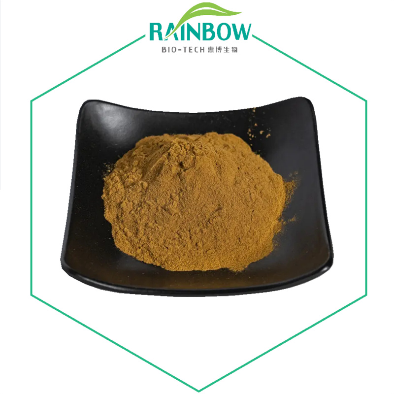 Elderberry extract01