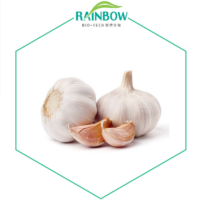 Garlic extract02