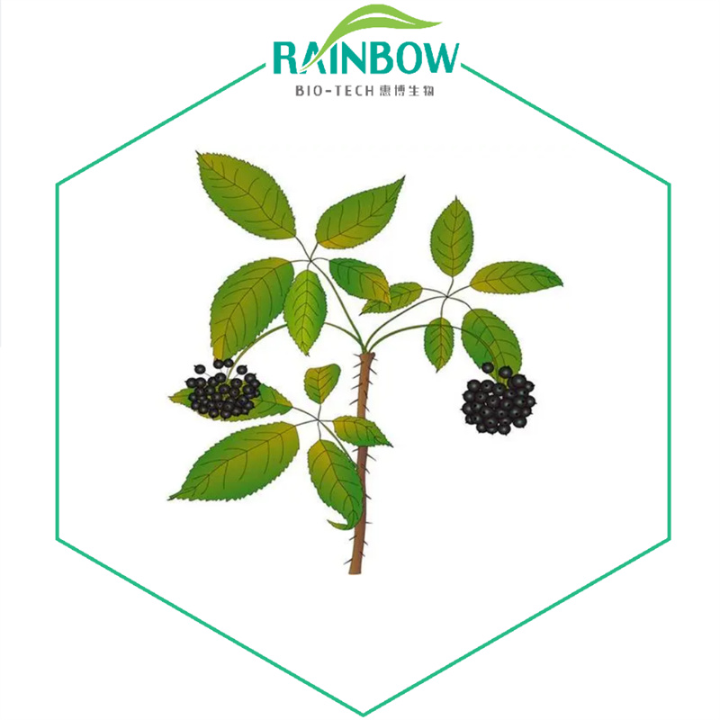 Siberian Ginseng P.E.03