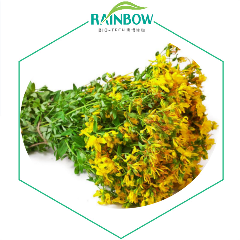 Wolfberry Extract01