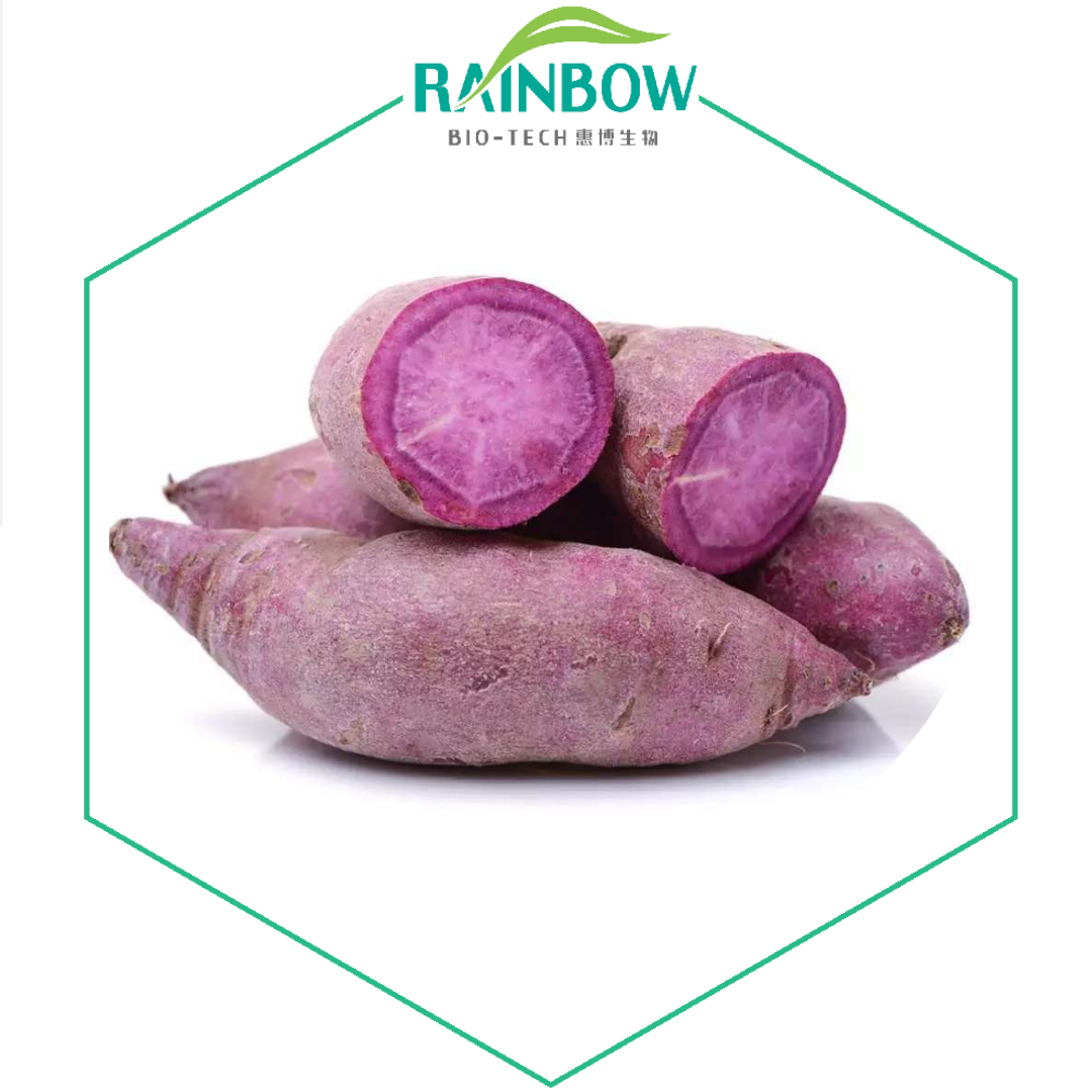 rich cyanidin sweet purple potato