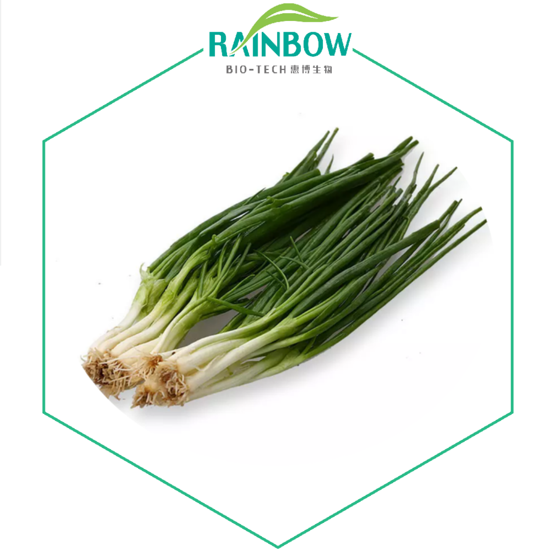 spicy green onion