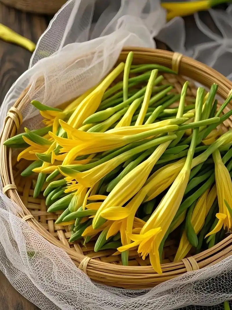 干黄花菜1